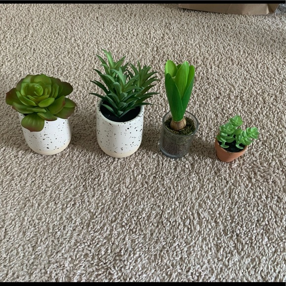 Modern Farmhouse Spring Decor Lot - Picture 8 of 9